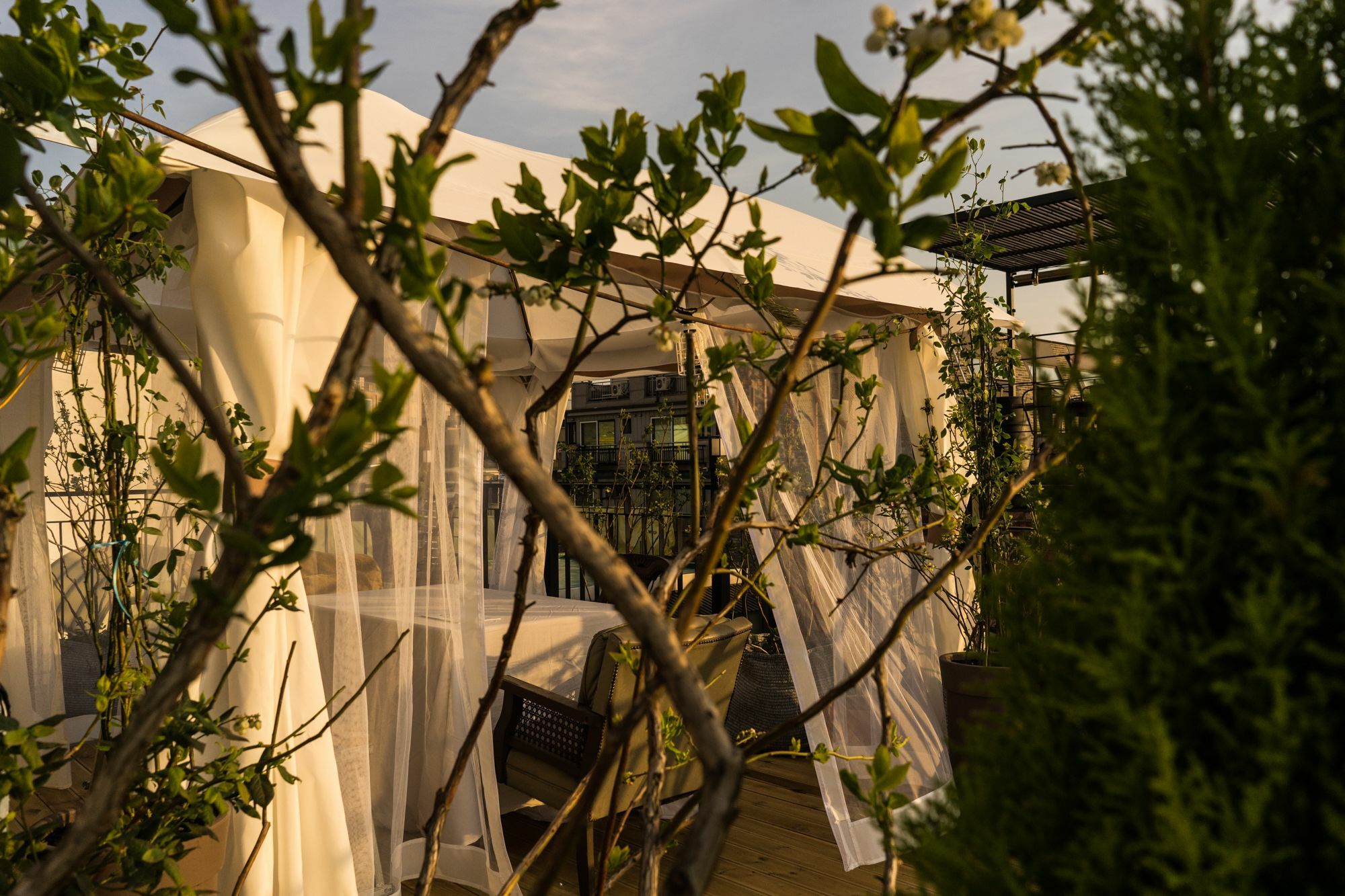 Tetto House Rooftop Garden Seul Esterno foto